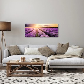 Tablou - Răsărit de soare în câmp de lavandă (120x50 cm)