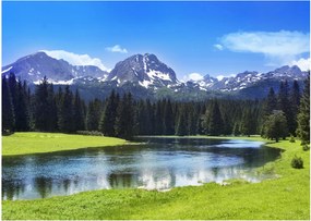 Tablou - vâfurile montane înzăpezite (70x50 cm)