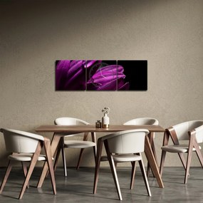 Tablou - Picătura de apă (cu ceas) (90x30 cm)