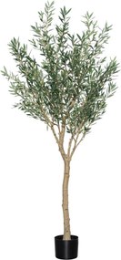 Copac artificial realist, măslin european, dimensiuni multiple - PotteryPots mărimea: XL - ø 65 cm | înălțime 240 cm