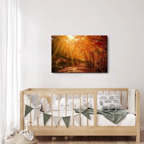 Tablou cu pădurea în toamnă (90x60 cm)