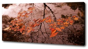 Tablou canvas Frunze de apa