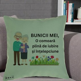 Cadou pentru Bunici - Perna Personalizata Bunicii Mei Comoara Cuplu Senior cu Flori Colorat, 40x40 cm, Verde, Husa Detasabila, Perna Inclusa, BEKZ®
