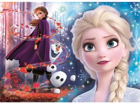 Disney Regatul de gheață Wind Puzzle Clementoni de 2x60 piese