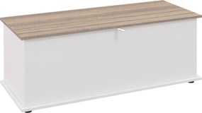 HOMCOM Bancă multifuncțională din lemn pentru dormitor și hol, alb, 100x40x40 cm | Aosom Romania