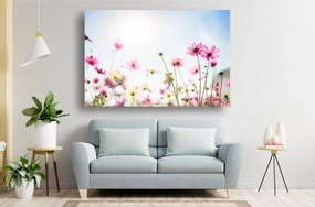 Tablou Canvas - Flori colorate in soarele puternic