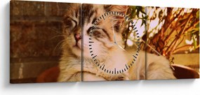 Tablou cu pisica în ghiveci (cu ceas) (90x30 cm)