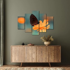 Tablou - fluture pe o floare portocalie (150x105 cm)