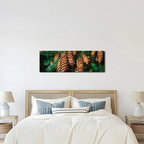 Tablou cu con de brad (cu ceas) (90x30 cm)