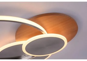 Plafonieră LED dimabilă PALMA LED/50W/230V Paul Neuhaus 8328-79 + telecomandă