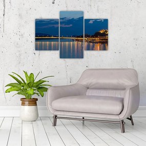 Tablou cu Bratislava și palat (90x60 cm)