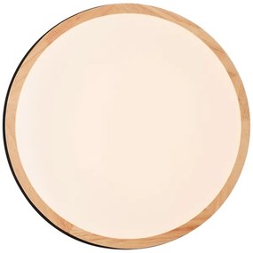 Plafonieră LED dimabilă Brilliant BAARLO LED/24W/230V d. 35 cm negru