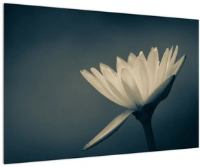 Tablou cu flori (90x60 cm)
