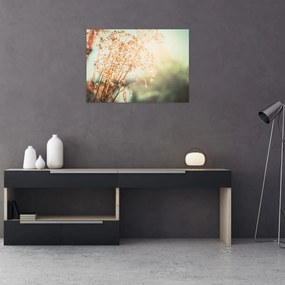 Tablou pe sticlă - Plante după ploaie (70x50 cm)
