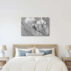 Tablou - Floare înflorită (90x60 cm)