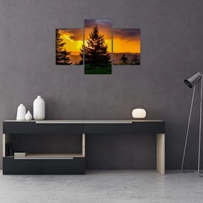 Tablou - coniferi (90x60 cm)