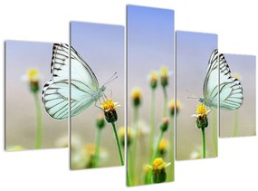 Tablou cu fluture pe floare (150x105 cm)