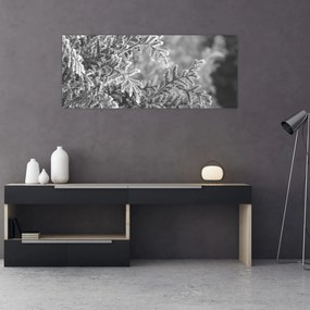 Tablou - Pădure de molid (120x50 cm)
