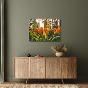 Tablou pe sticlă - florile lalelelor (70x50 cm)