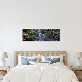 Tablou cu pădurea ploilor din Austalia (cu ceas) (90x30 cm)