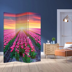 Paravan - Câmp de lalele cu soare (126x170 cm)