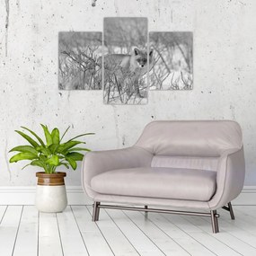 Tablou - Vulpe,alb-negru (90x60 cm)