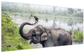 Tablou - Elefant de scăldat (120x50 cm)