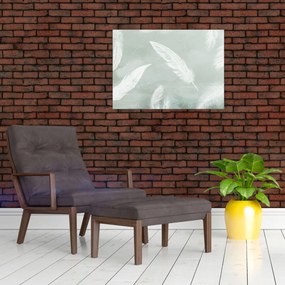 Tablou - Pene albe (70x50 cm)