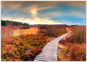Tablou - Peisaj de toamnă - drum (70x50 cm)