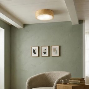 Plafonieră pentru baie NATURAL MODERN 2xE27/15W/230V, Ø 27,5 cm, pin