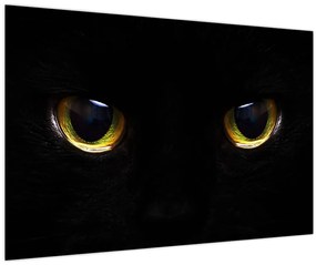 Tablou - Ochi de pisică (90x60 cm)