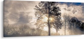 Tablou cu copac în ceață (120x50 cm)