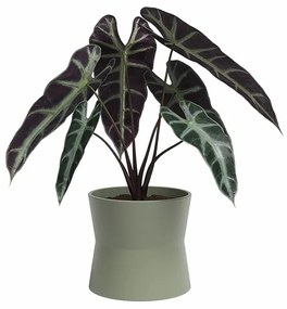 Ghiveci din ceramică ø 14 cm Diana – Artevasi