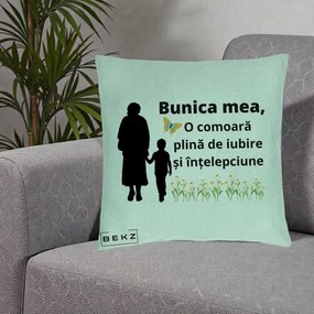Cadou pentru Bunica - Perna Personalizata Bunica Mea Comoara cu Fluture si Baietel, 40x40 cm, Verde Menta, Husa Detasabila, Perna Inclusa, BEKZ®