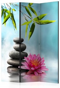 Paravan - Water Lily and Zen Stones [Room Dividers]
