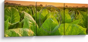 Tablou - Câmp (cu ceas) (90x30 cm)