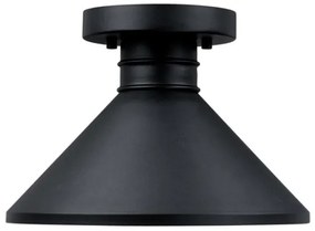 Plafonieră de exterior Westinghouse 61238 WALTER 1xE27/60W/230V IP44