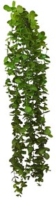 Eucalipt verde artificial, Curgator, Maali, 70cm