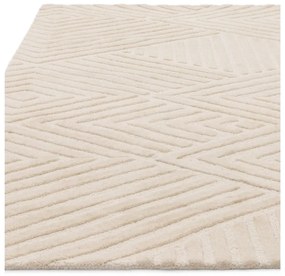 Covor crem din lână 160x230 cm Hague – Asiatic Carpets