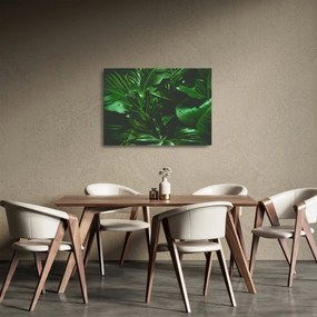 Tablou pe sticlă - Frunze de palmier (70x50 cm)