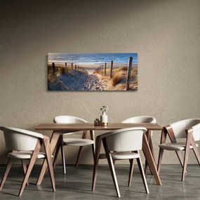 Tablou - Drum spre plaja din Marea Nordului, Țările de Jos (120x50 cm)