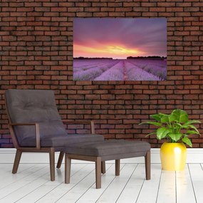 Tablou - Câmp de lavandă (90x60 cm)