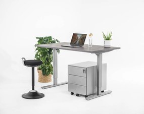 Birou reglabil manual, control cu manivelă, 80 kg - Premium - 1400x800x25 - Logan - Gri