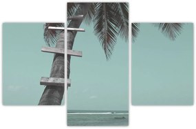 Tablou - Palma în Caraibe (90x60 cm)