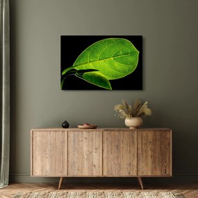 Tablou - frunză verde (90x60 cm)