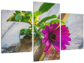 Tablou flori tăiate (90x60 cm)