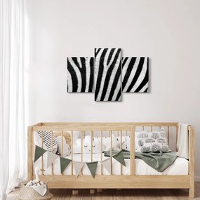 Tablou cu piele de zebră (90x60 cm)