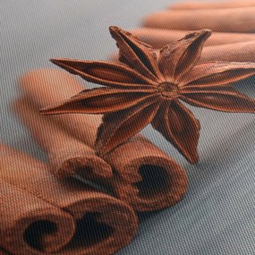 Tablou cu scorțișoară (70x50 cm)