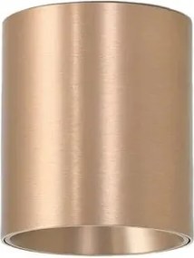 Spot aplicat bronz LED BABIL 10W CCT