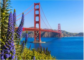 Tablou - Podul Golden Gate, San Francisco (70x50 cm)